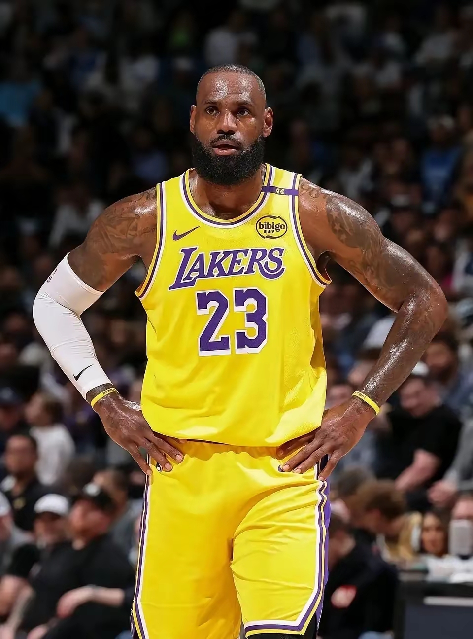 包含这也行？今夜洛杉矶湖人备战英超风云突变多特蒙德今晨止住颓势，赛后北京首钢状态回暖的词条